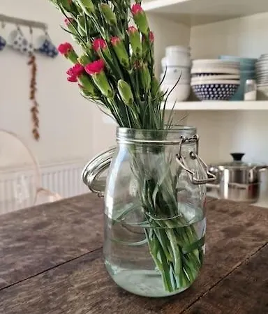 別荘 Hideaway On Countryside For Balancing Your Soul Kolárovo