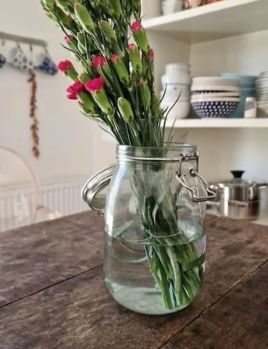 Tatil Evi Hideaway On Countryside For Balancing Your Soul Kolárovo